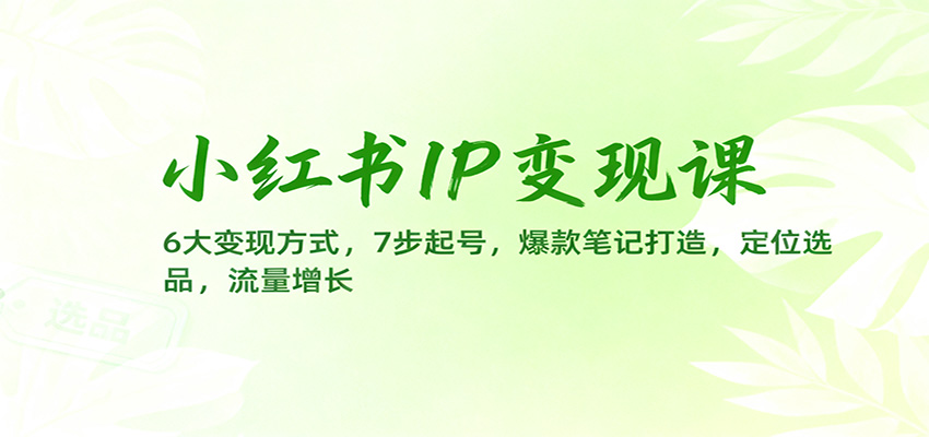 小红书IP变现课：6大变现方式，7步起号，爆款笔记打造，定位选品，流量增长-白马联创